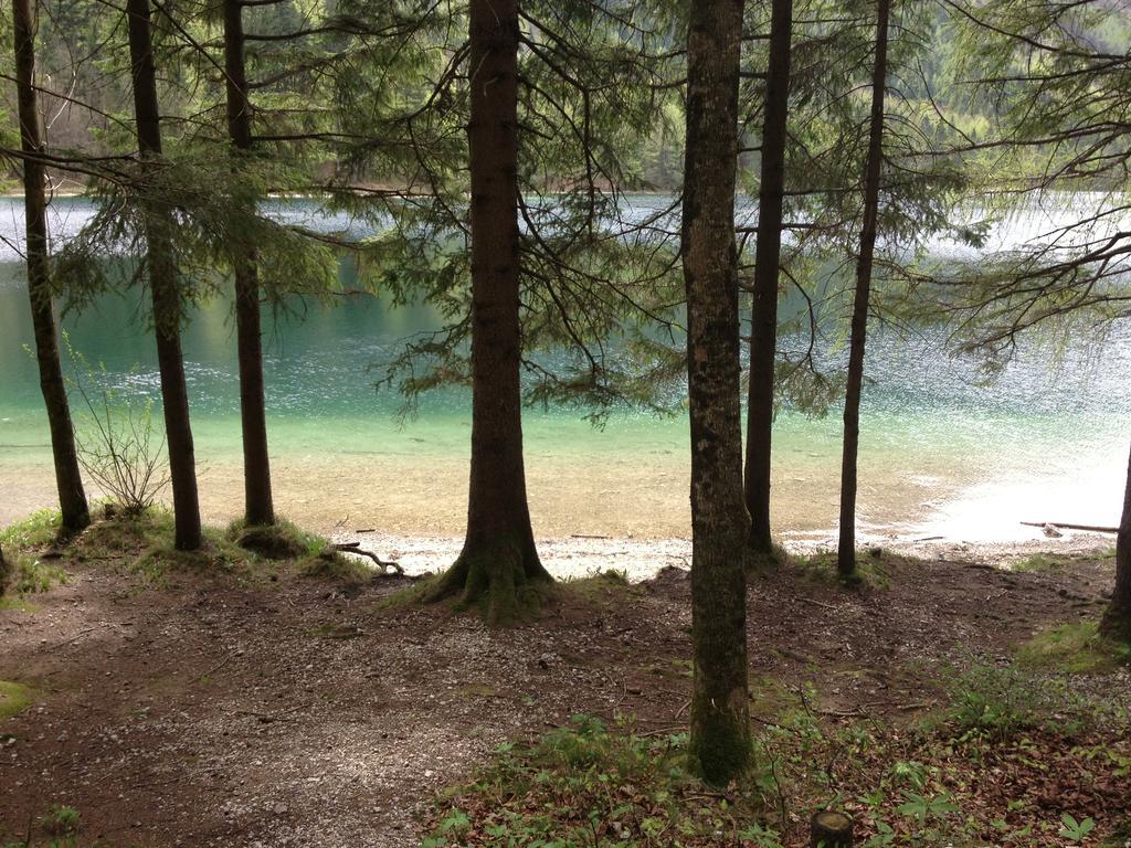 See 31, Ferienlofts Am Traunsee Apartment Traunkirchen Room photo